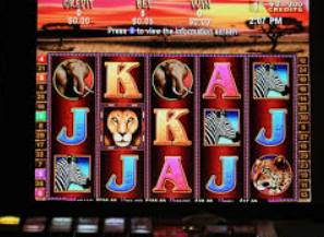 娱乐星空下载app