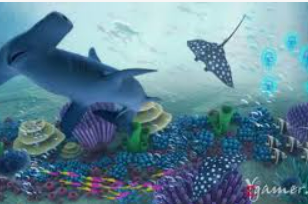 娱乐星空下载app最新版